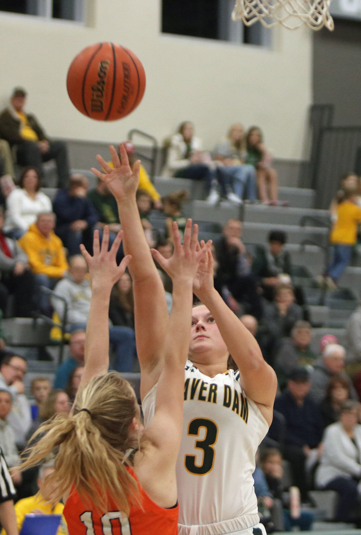 Carley Burchardt